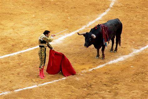 The Bullfights (Los Toros):